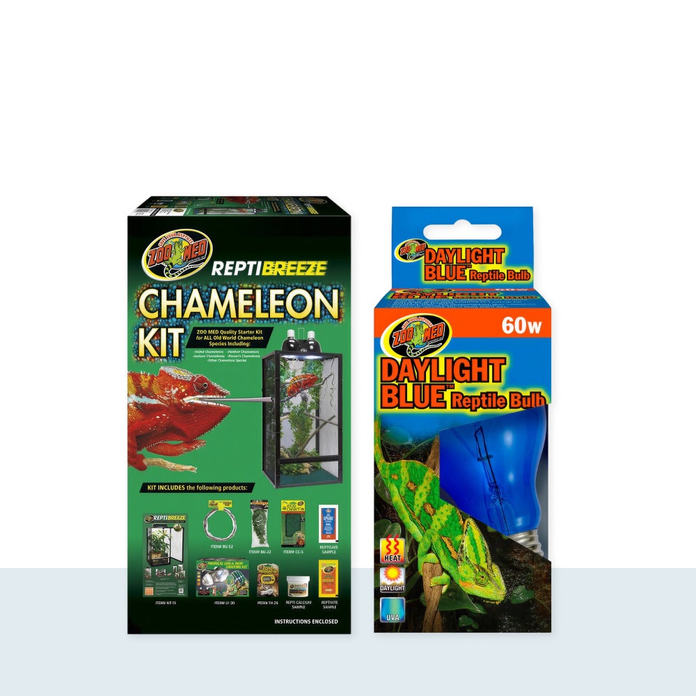 Chameleon Supplies Set